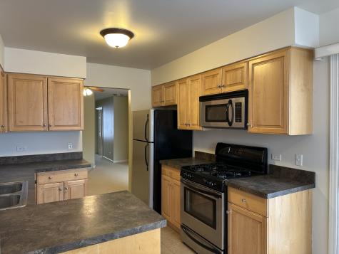 1310 Cromwell Court Vernon Hills IL 60061