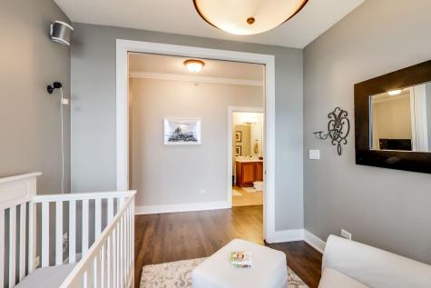1717 South Prairie Avenue Chicago IL 60616