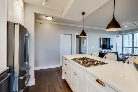 1717 South Prairie Avenue Chicago IL 60616