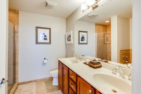 1717 South Prairie Avenue Chicago IL 60616