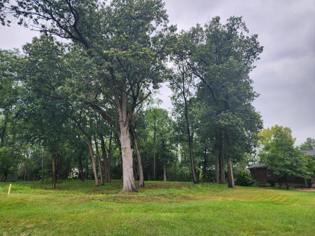 744 Cirque Drive Crown Point IN MLS 545306 78,950 McColly Real