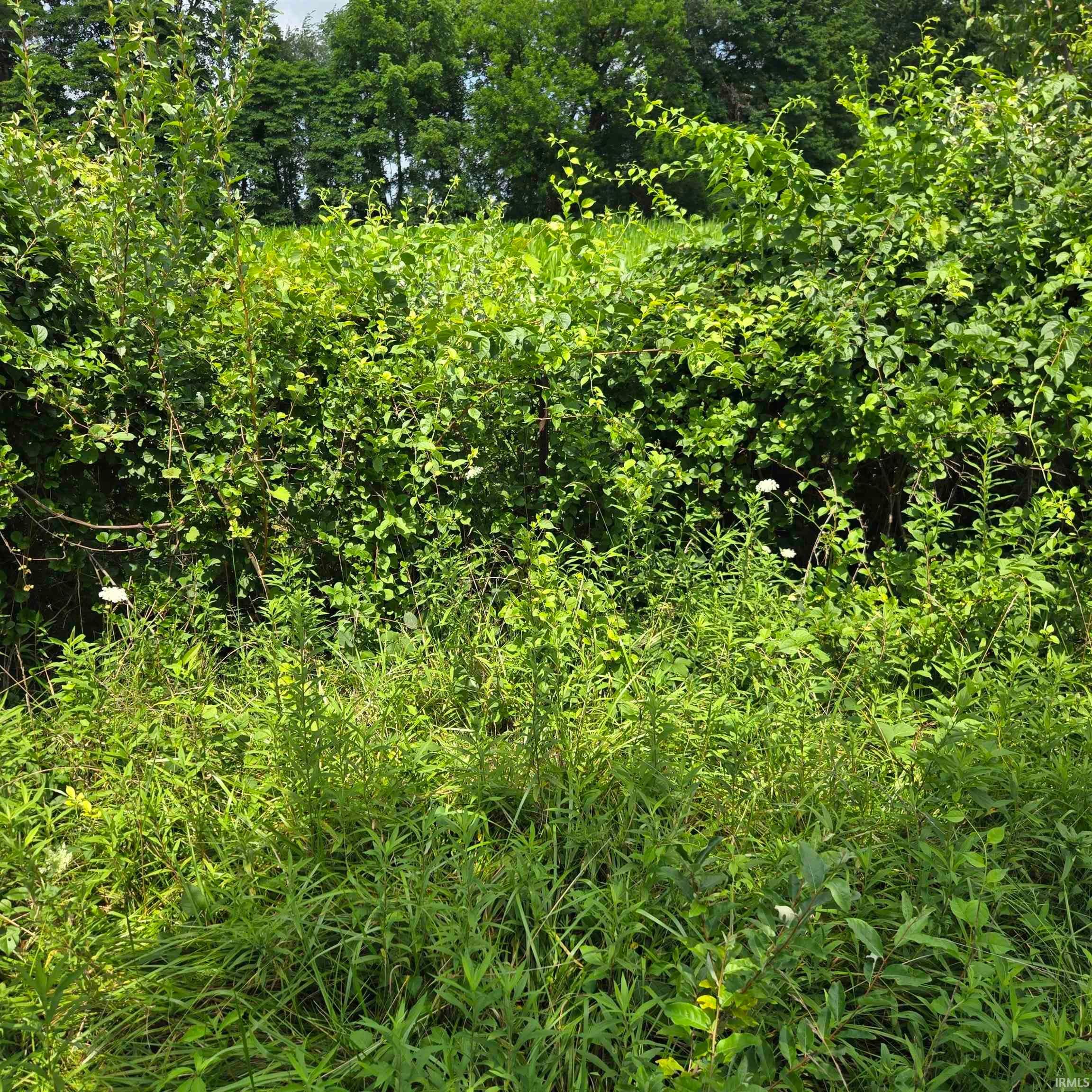 Tbd Oak Road Plymouth IN 46563