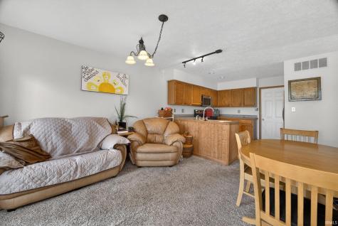 9557 S Lake Ridge Drive Bloomington IN 47401