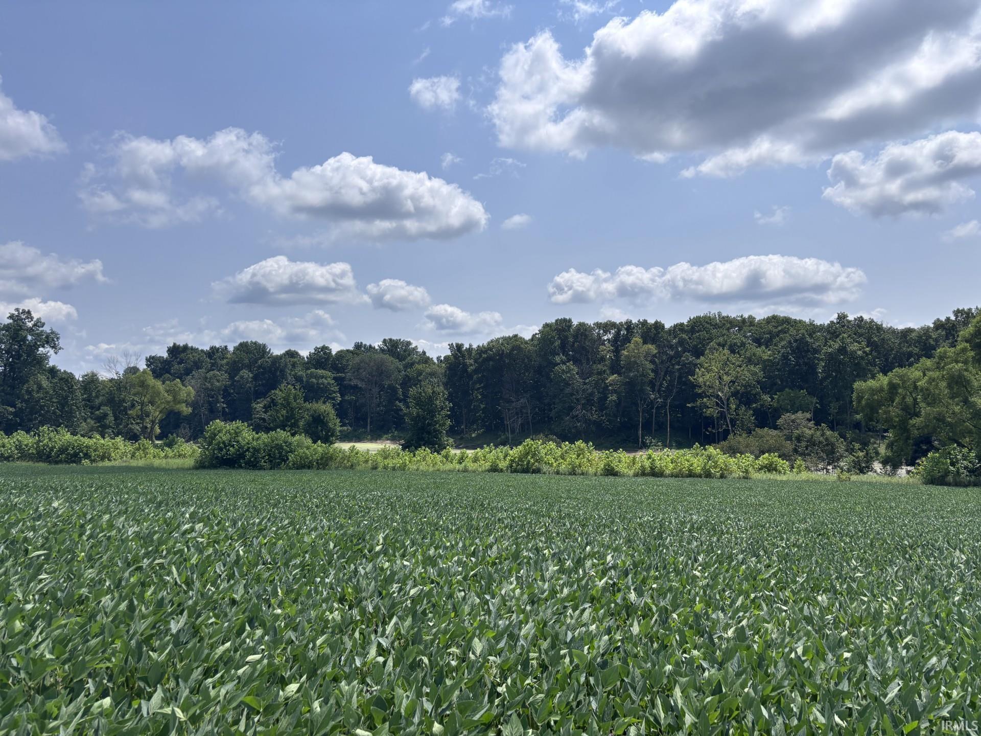 4436 E County Road 1050 N Farmersburg IN 47850