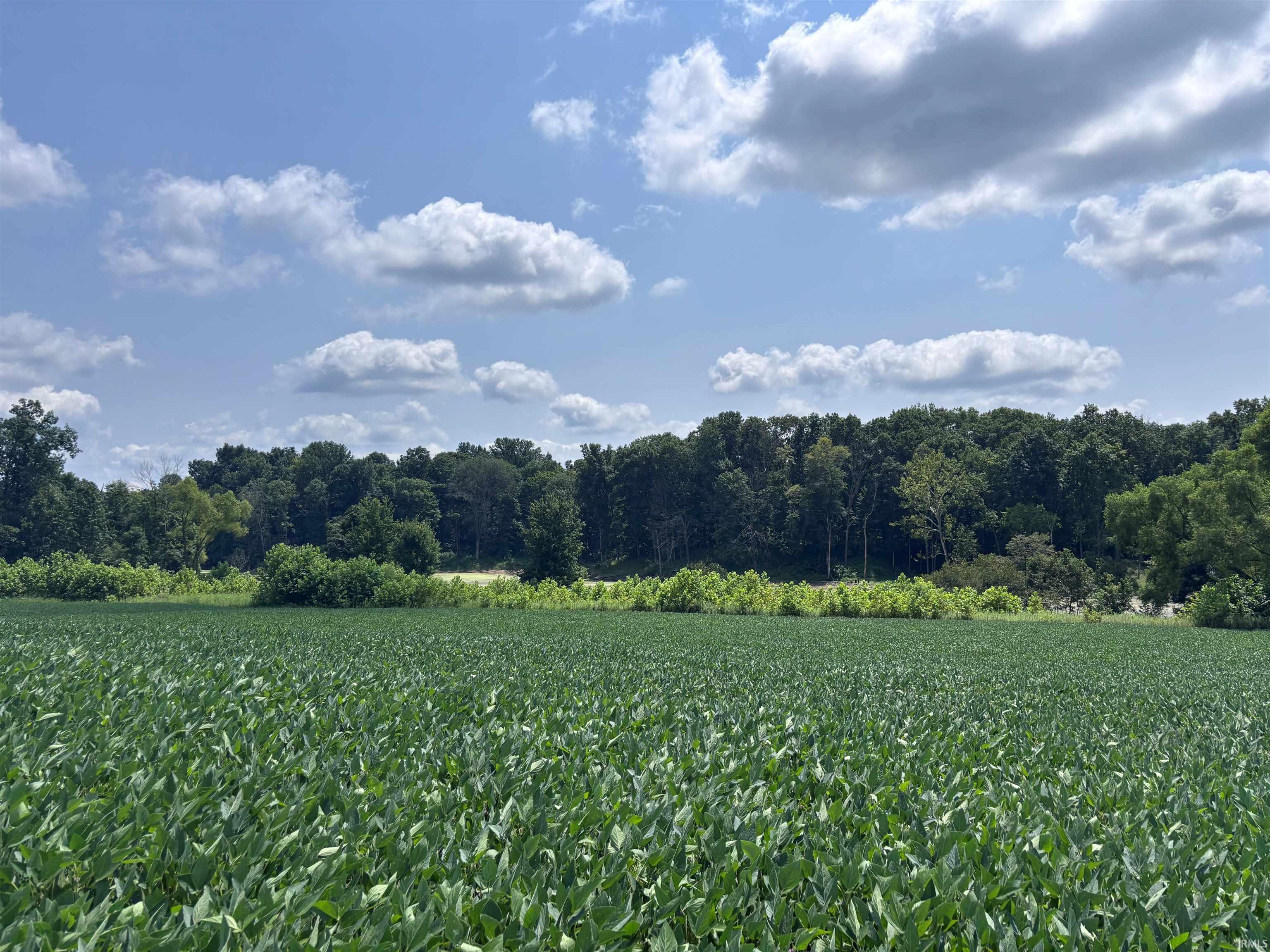 4436 E County Road 1050 N Farmersburg IN 47850