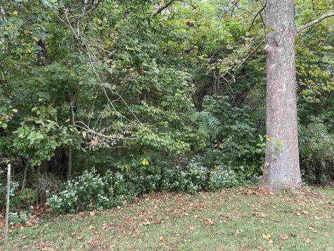 Tbd Spring Drive Bedford IN 47421