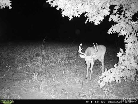 V/l E 100 N Knox IN 46534