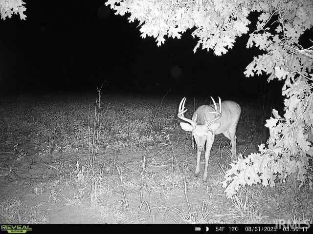 V/l E 100 N Knox IN 46534