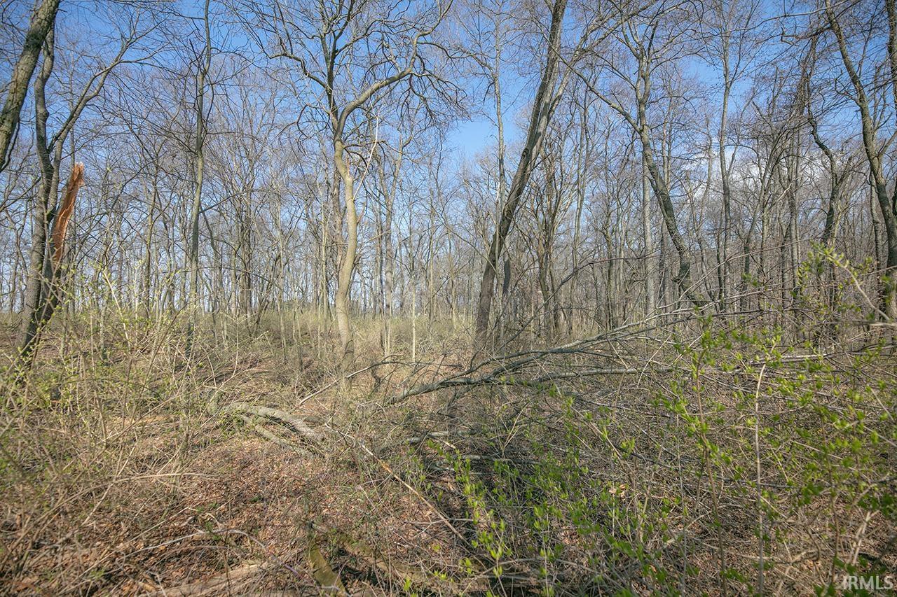 Ville County Road 127 Goshen IN 46528