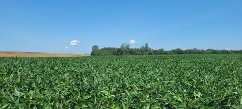 26+/- Acres S Wampler Road Bicknell IN 47512