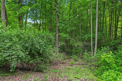 Tbd Woodview Hills Lane Solsberry IN 47459