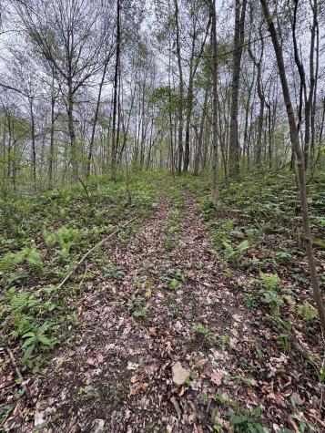 Tract 5 E Pine Road Common Bloomfield IN 47424