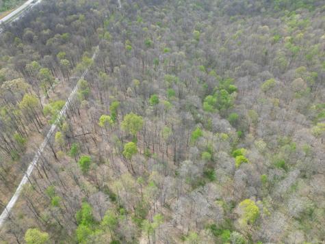 Tract 5 E Pine Road Common Bloomfield IN 47424