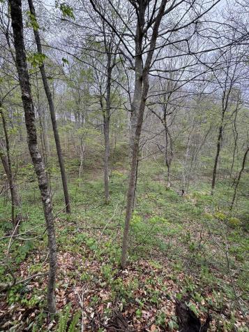 Tract 5 E Pine Road Common Bloomfield IN 47424