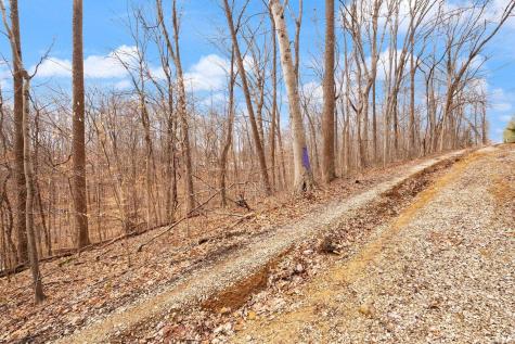 0 S Wild Ironwood Block 4 Lot #30,31,32,33,34 Paoli IN 47454