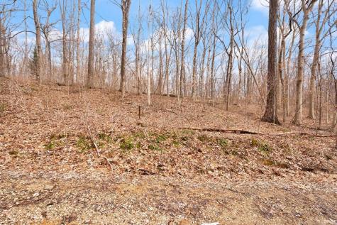 0 S Wild Ironwood Block 4 Lot #30,31,32,33,34 Paoli IN 47454