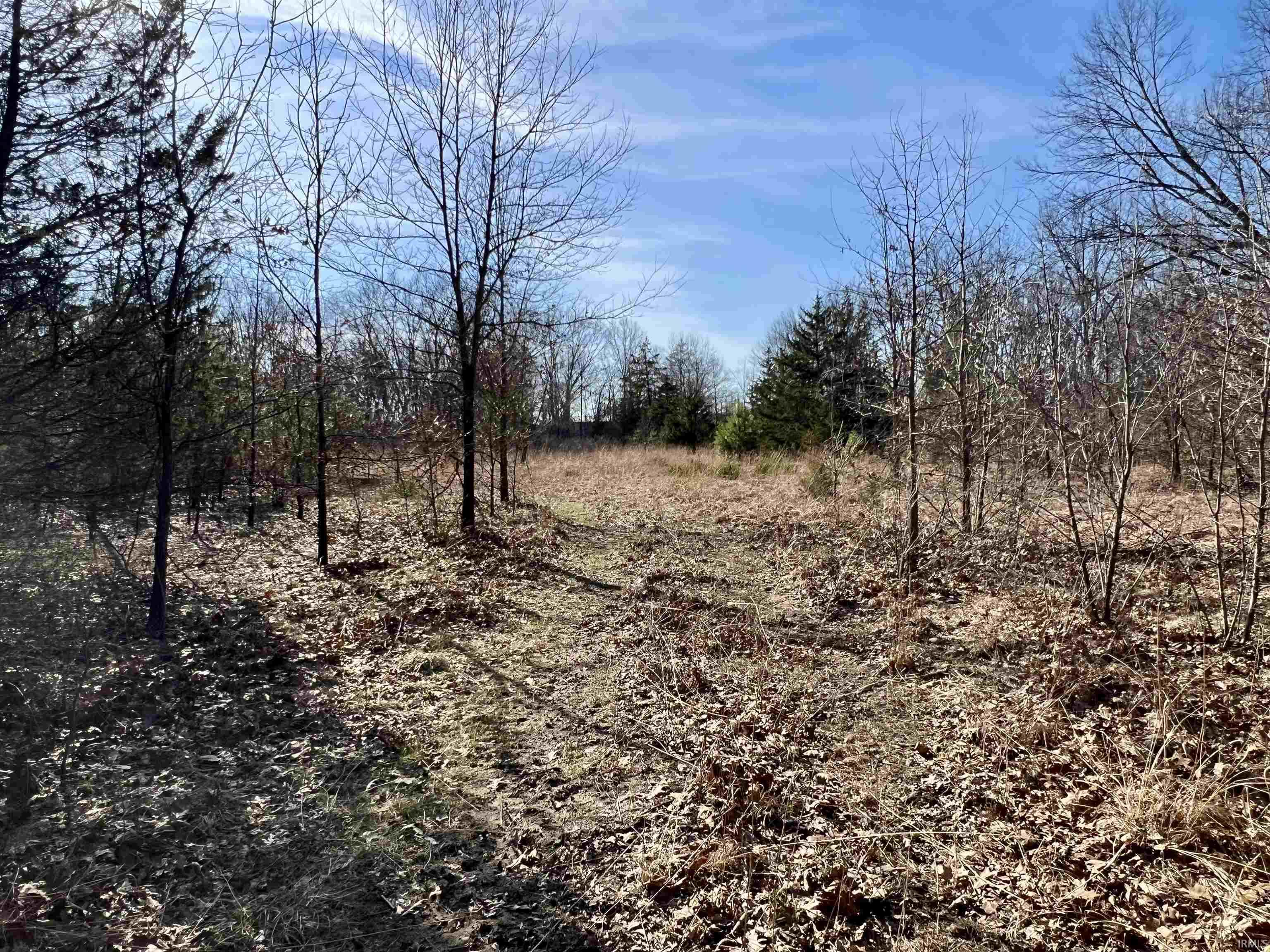 Tbd Willow Street North Judson IN 46366