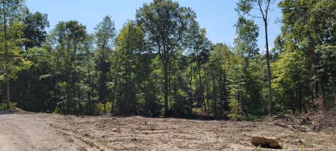 Lot 1 Stephanie Court Solsberry IN 47459