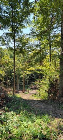 Lot 1 Stephanie Court Solsberry IN 47459