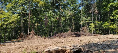 Lot 1 Stephanie Court Solsberry IN 47459