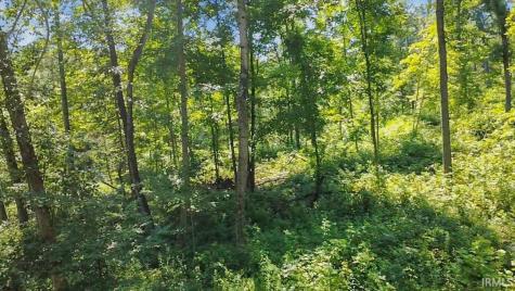 Tract 1 S Dry Branch Road Springville IN 47462