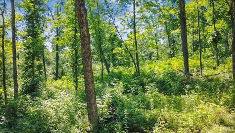 Tract 1 S Dry Branch Road Springville IN 47462