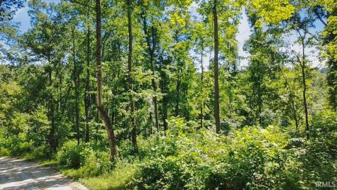 Tract 1 S Dry Branch Road Springville IN 47462
