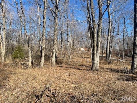 Tract 1 S Dry Branch Road Springville IN 47462