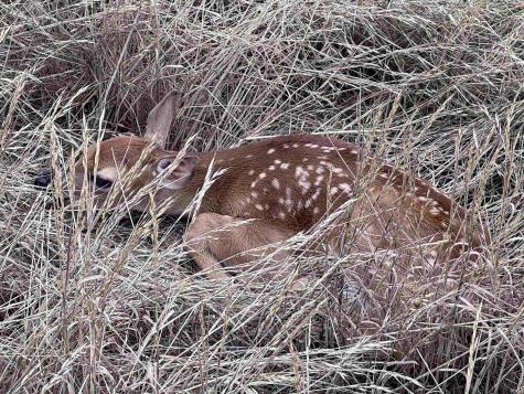 Off Us Highway 231 Loogootee IN 47553