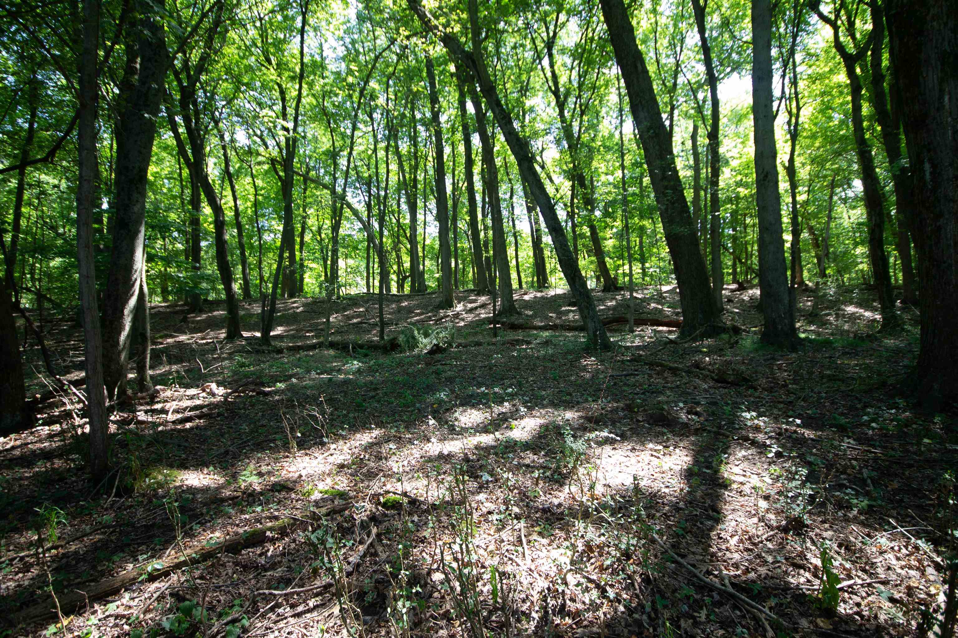Lot 4 Persimmon Drive South Bend IN 46628