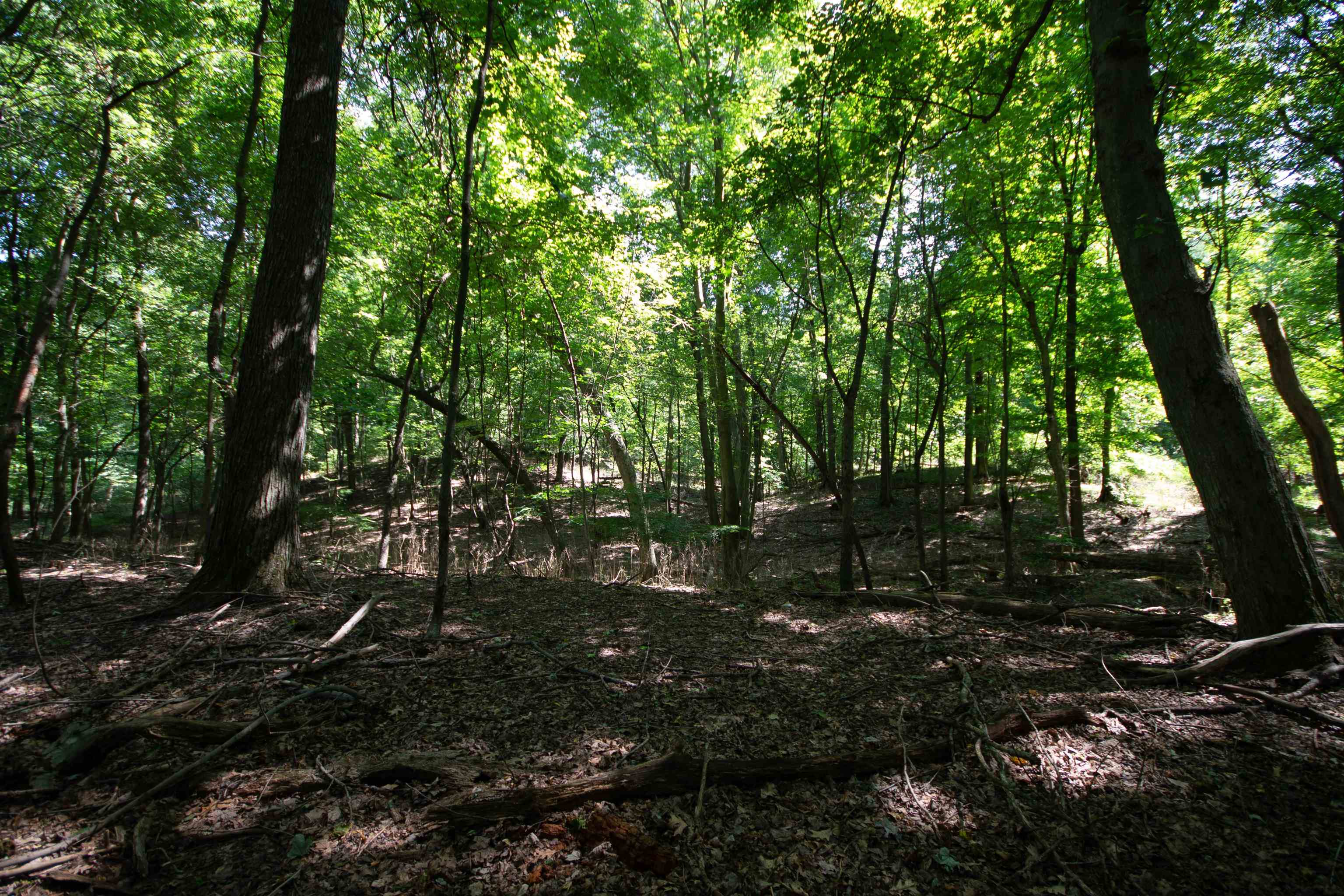 Lot 4 Persimmon Drive South Bend IN 46628