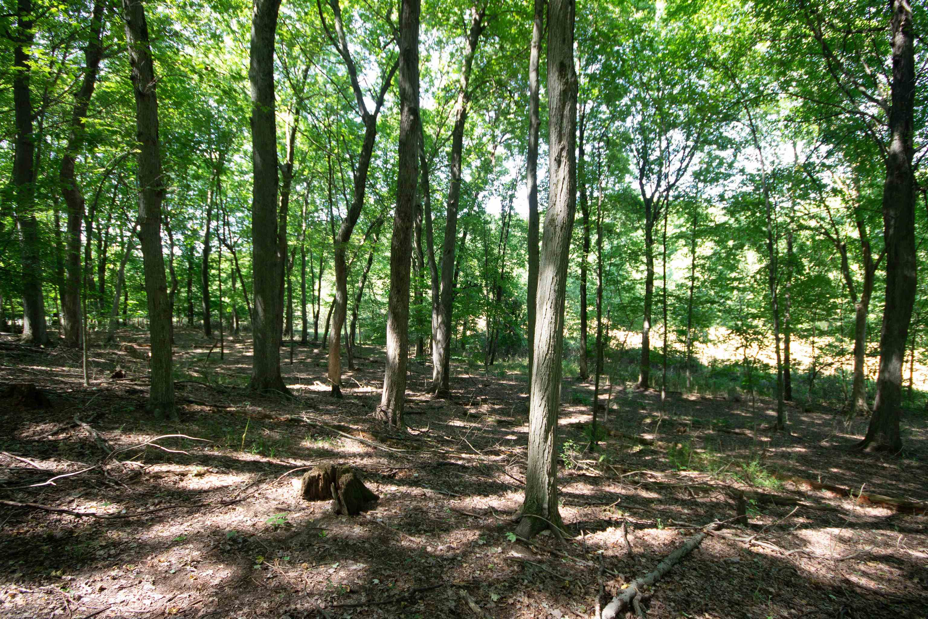 Lot 4 Persimmon Drive South Bend IN 46628