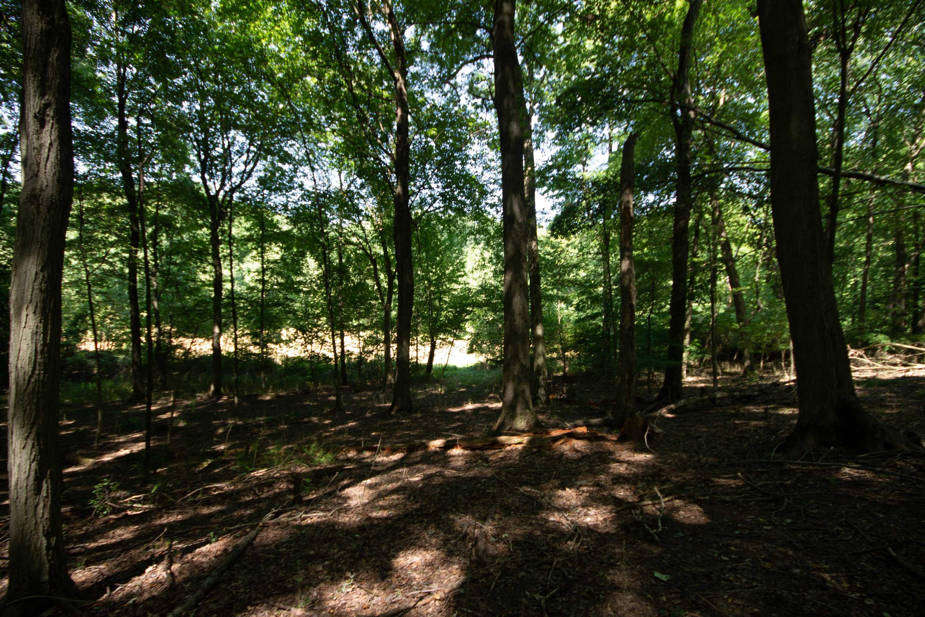 Lot 4 Persimmon Drive South Bend IN 46628