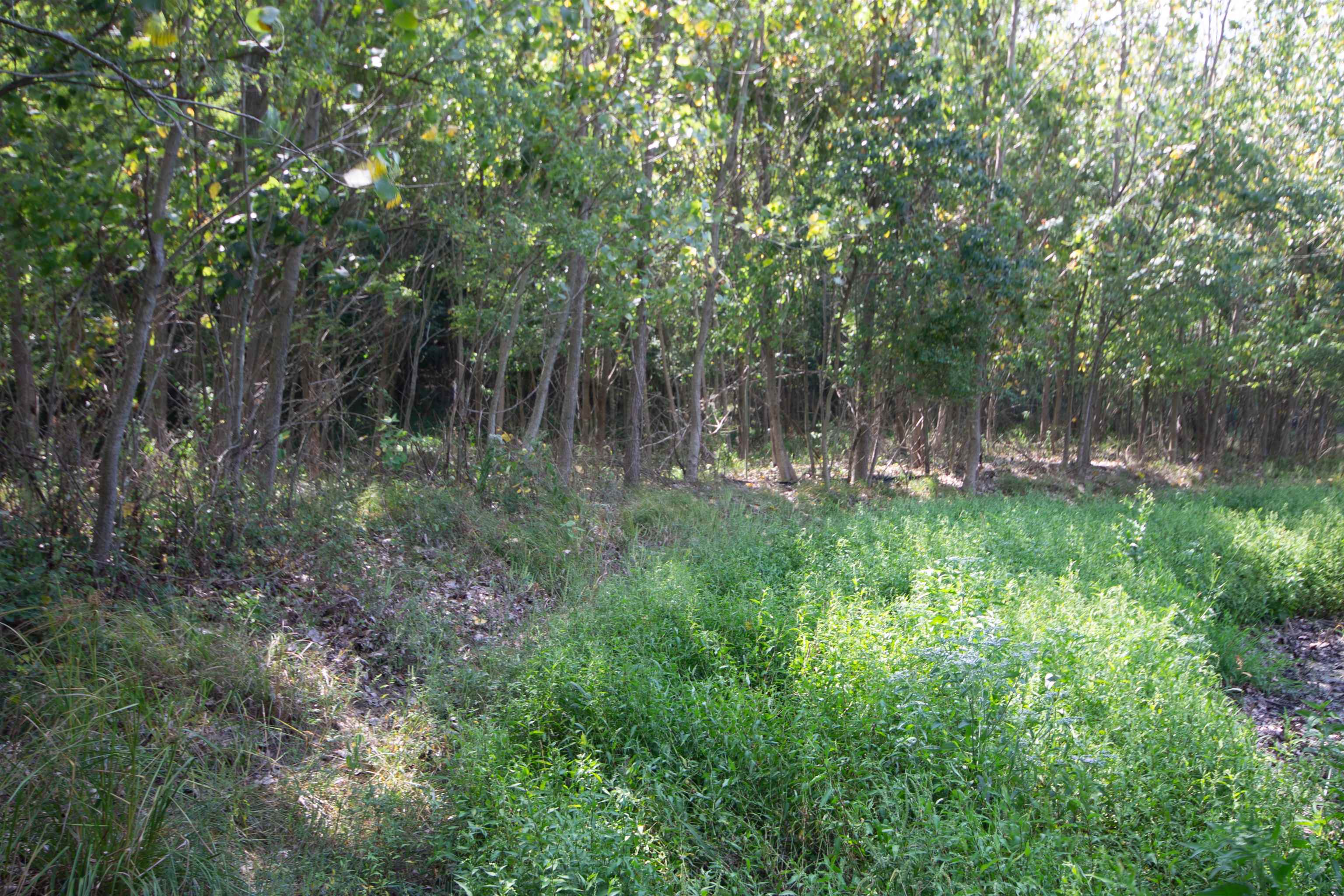 Lot 4 Persimmon Drive South Bend IN 46628