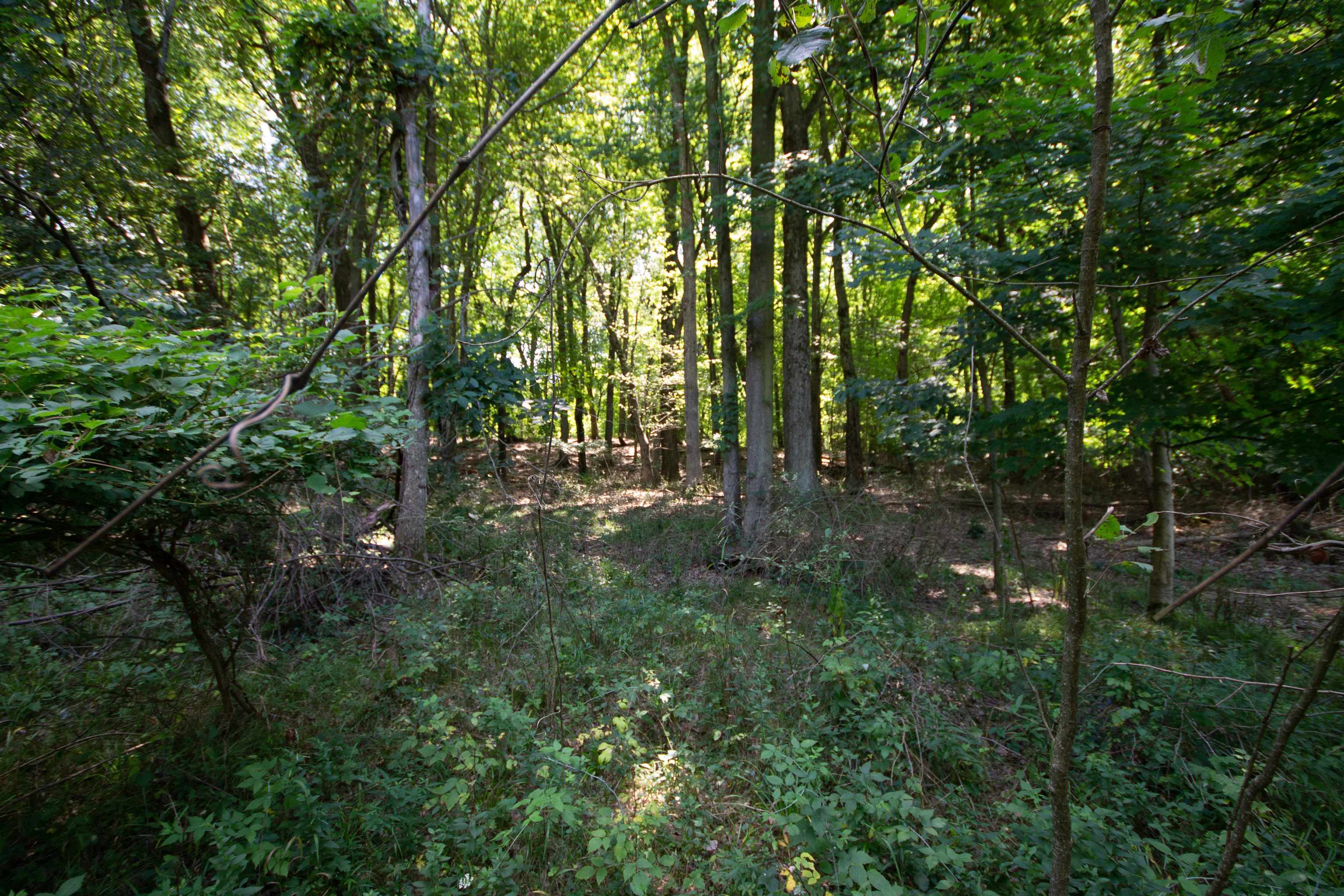 Lot 4 Persimmon Drive South Bend IN 46628