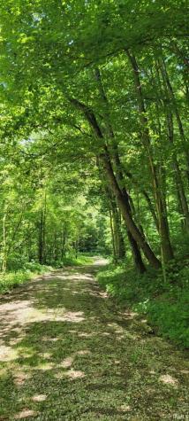 40 Acres 8669 Bird Lane Shoals IN 47581