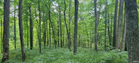 40 Acres 8669 Bird Lane Shoals IN 47581