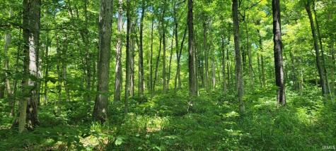 40 Acres 8669 Bird Lane Shoals IN 47581