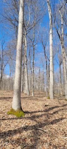 40 Acres 8669 Bird Lane Shoals IN 47581