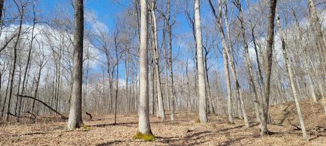 40 Acres 8669 Bird Lane Shoals IN 47581