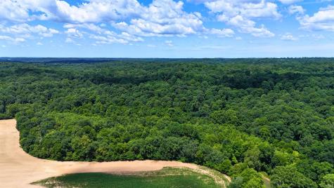 40 Acres 8669 Bird Lane Shoals IN 47581