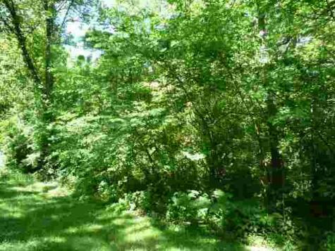 Lot 1 Lakewood Vincennes IN 47591
