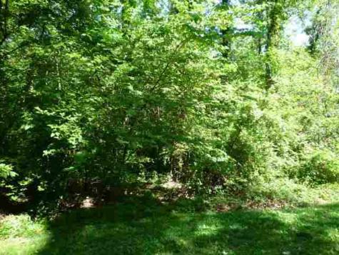 Lot 1 Lakewood Vincennes IN 47591