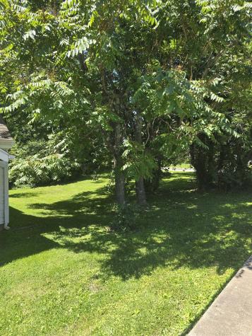 1103b 1103B W 11th Street Bloomington IN 47404