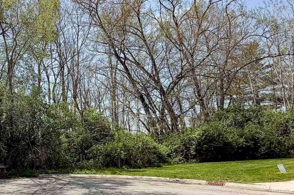 53463 Old Woodbridge Court South Bend IN 46637