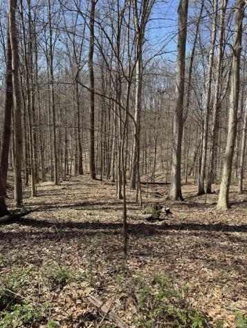 0 Harrah Road Spencer IN 47459