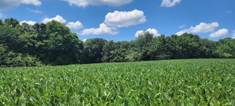 00 Fort Ritner Road Bedford IN 47421