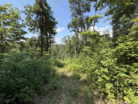 00 NW Side N Leval Ratt Road Scottsburg IN 47170