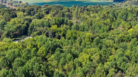 Tbd Port Williams Road Mitchell IN 47446