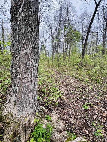 Tract 2 E Pine Road Common Bloomfield IN 47424